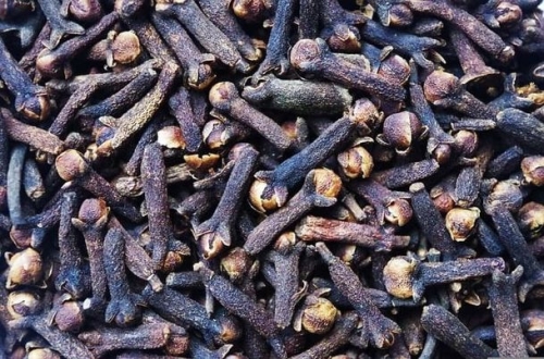 Goździki 50 gr. Duża paczka